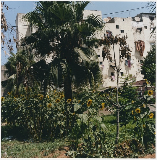 Art Dubai 2015: Title : Reprendre Casa. Carrières centrales, Casablanca, fig. 16
Artist : Yto Barrada
Date : 2013
Medium : Chromogenic colour print
Courtesy : courtesy the artist and Sfeir-Semler Gallery, Beirut / Hamburg
Dimension : 60 x 60 cm, Ed. 5 + 2 A.P.