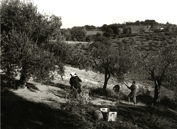 200 Images: Europe: Mario Dondero