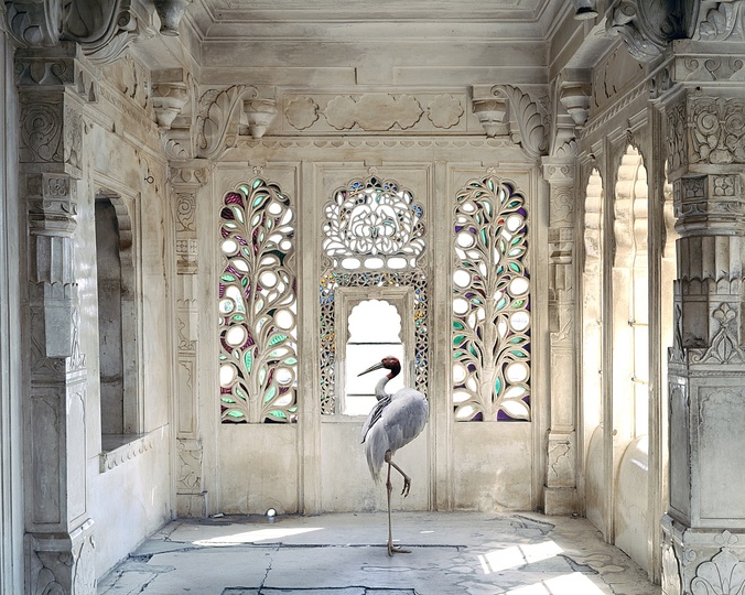 Art Dubai 2013: A Place like Amravati, Udaipur City Palace, Udaipur by Karen Knorr at Tasveer Gallery.