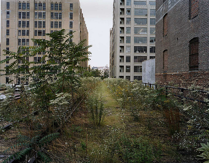 Joel Sternfeld: On This Site: 