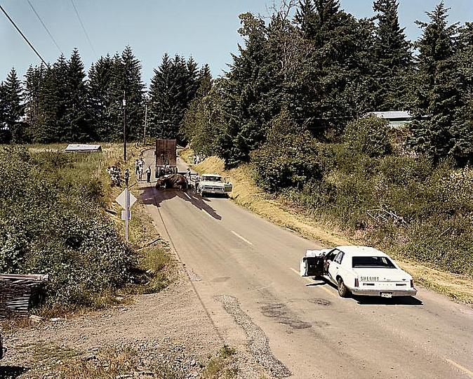 Joel Sternfeld: On This Site: 