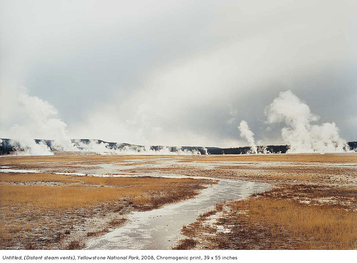 Taxonomy of a Landscape: 