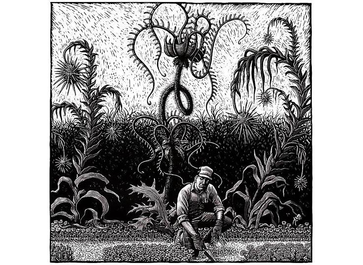 Douglas Smith: 