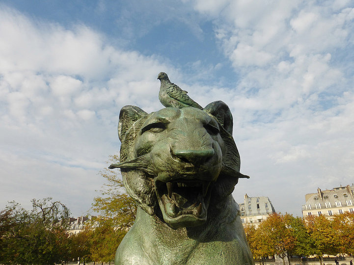 Pigeonner / Public Pigeon Sculptures: 