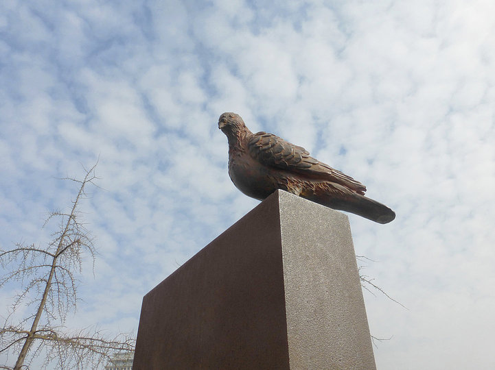 Pigeonner / Public Pigeon Sculptures: 