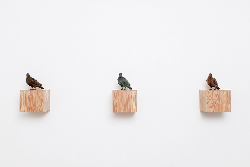 Pigeonner / Public Pigeon Sculptures: 