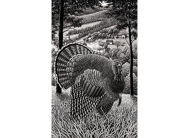 Douglas Smith: 