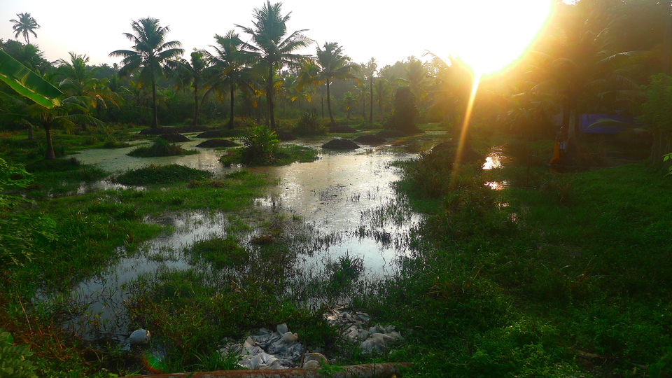 The evening in India: 