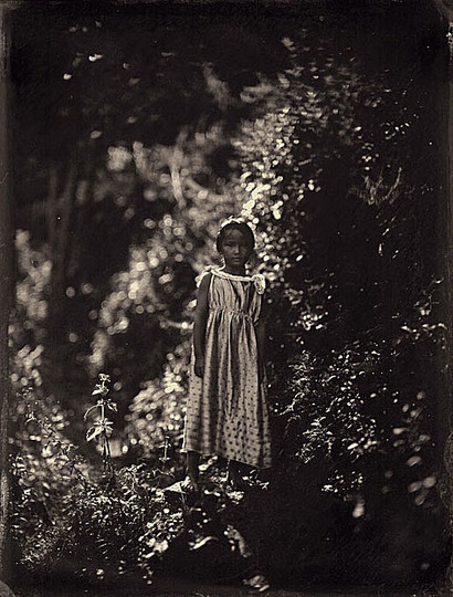 骆丹简历: Collodion: 