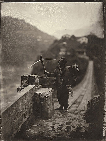 骆丹简历: Collodion: 