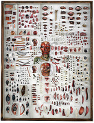 20062_20