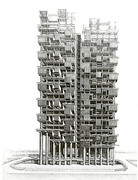 23806_50